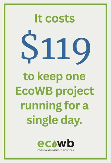 $119 per day!