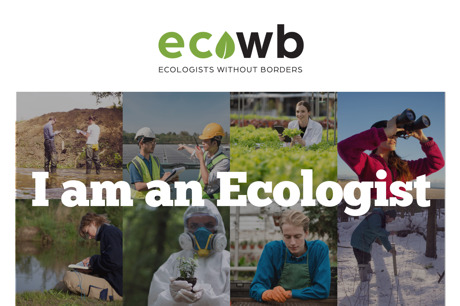 Email%20Header%20EcoWB%20Banner-7.png